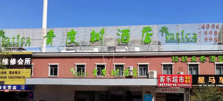 青皮树酒店(天津大港学府路大学城店)图片