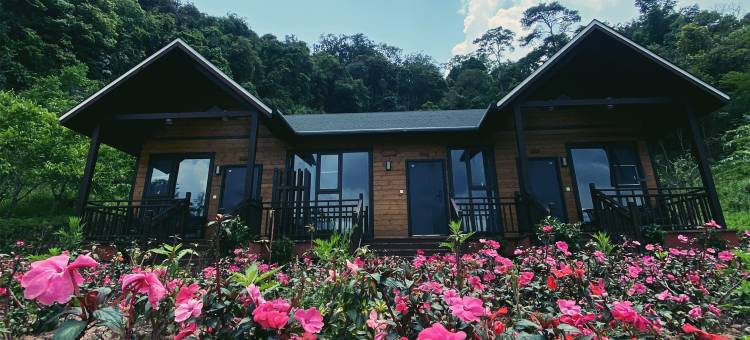 普洱亚太森林组织基地酒店图片