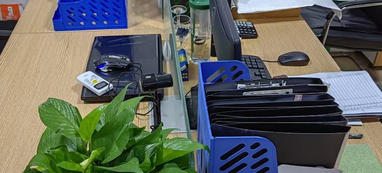 格林豪泰智选(上海江杨南路长江西路店)图片