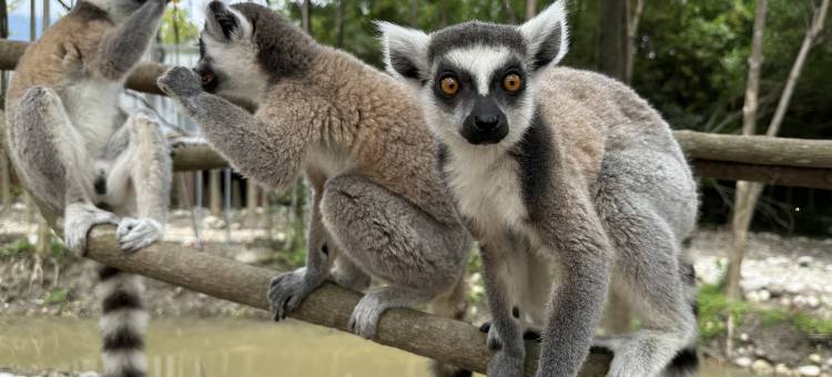 浮生六季·望山民宿酒店图片