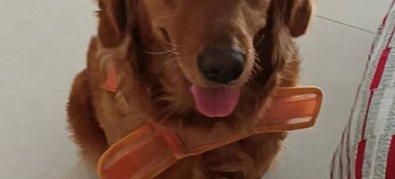 北海栖里·山海民宿(银滩旅游区店)图片