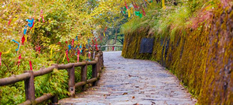 羌山石居图片