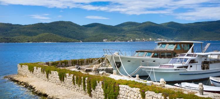 阿米内斯优尼克美景酒店(Aminess Younique Bellevue Hotel)图片