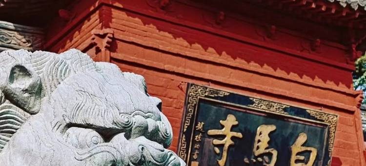 白马寺阳光宾馆图片