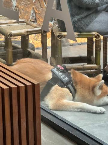 誉庭别院(汕头万象城龙眼南路美食街店)图片