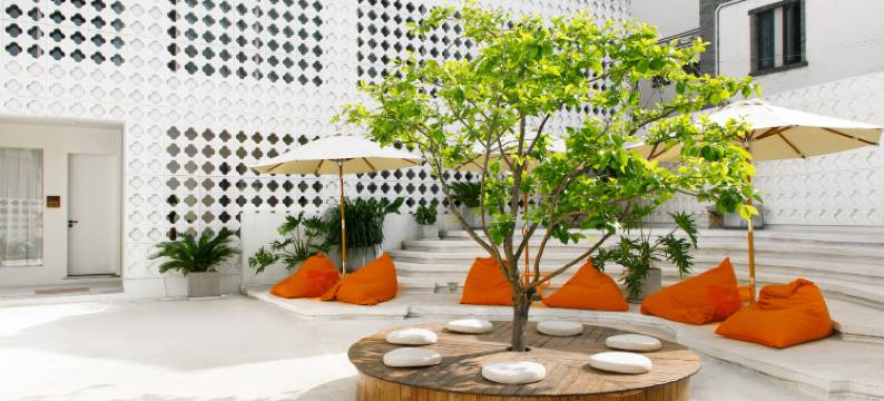 大理龙龛码头●柿野SHIYE丨Cafe Coco设计师美宿(摩洛哥天台店)图片