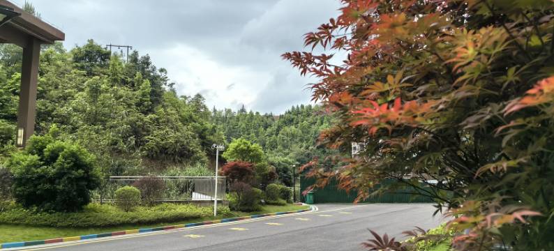 金秀姚家院子民宿图片