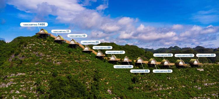 1466CAMPING露营地图片