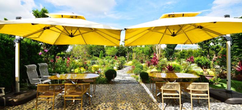 台东月光夏民宿图片