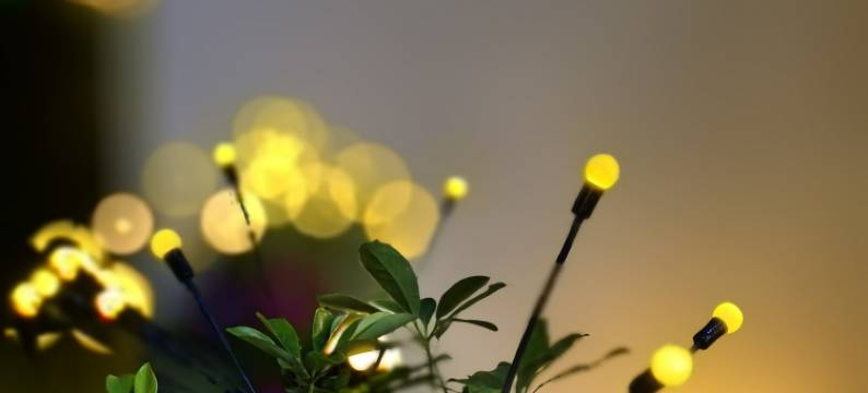 壶关星恒阳假日酒店图片