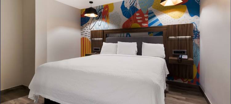 休斯顿佳乐利亚特色旅店(Signature Inn Houston Galleria)图片