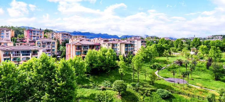 仙女山天怡芳草地度假酒店图片