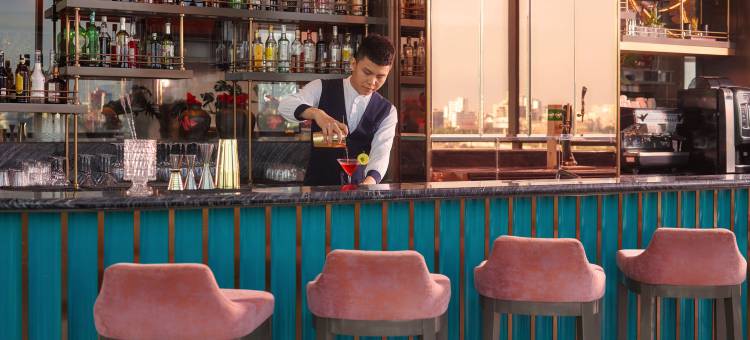 汉江诺富特岘港普林米尔酒店(Novotel Danang Premier HAN River)图片