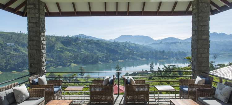 茶花山(Camellia Hills)图片