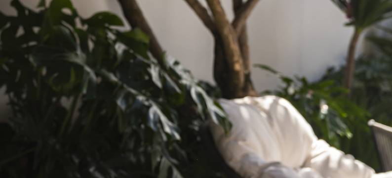 朴树繁花私人庭院(丽江古城南门店)图片