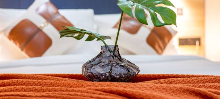 如家驿居酒店(珠海拱北口岸富华里店)图片