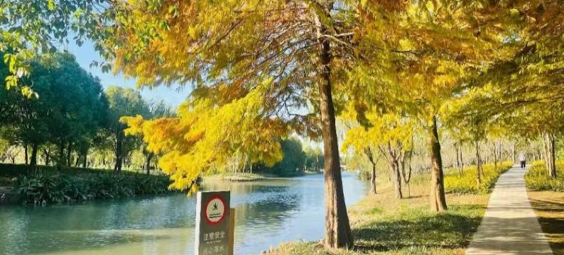 维也纳酒店(上海国际旅游度假区秀沿路地铁站店)图片