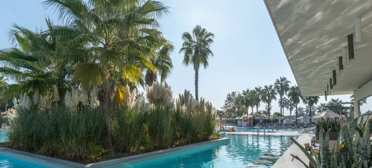 帕洛玛奥伦达(Paloma Orenda)图片