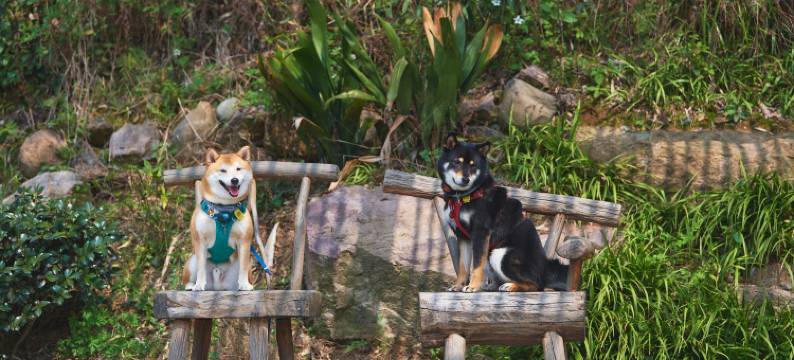 安吉1913民宿(Hello Kitty乐园店)图片