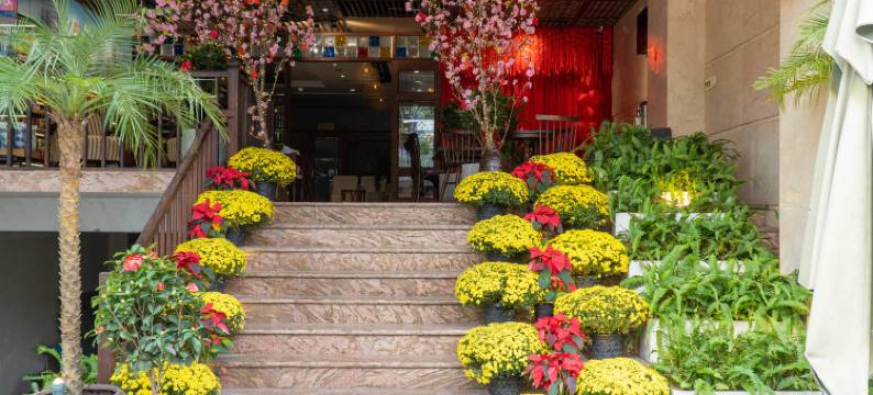 多哈中央布利斯岘港酒店-由哈维兰德酒店管理(Doha Central Bliss Danang Hotel by Haviland)图片