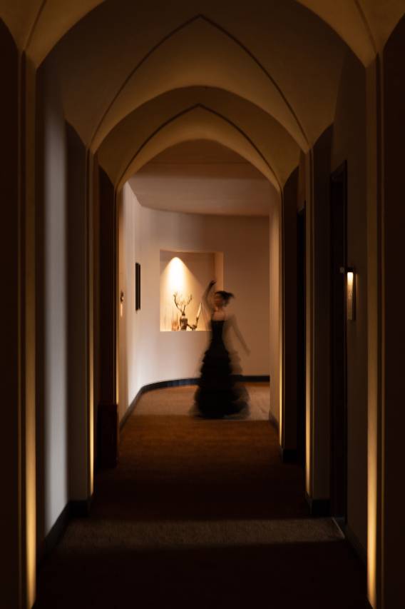 梅里拾柒·雪山酒店图片