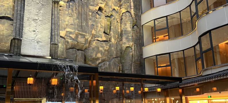 佛山里水希尔顿花园酒店图片