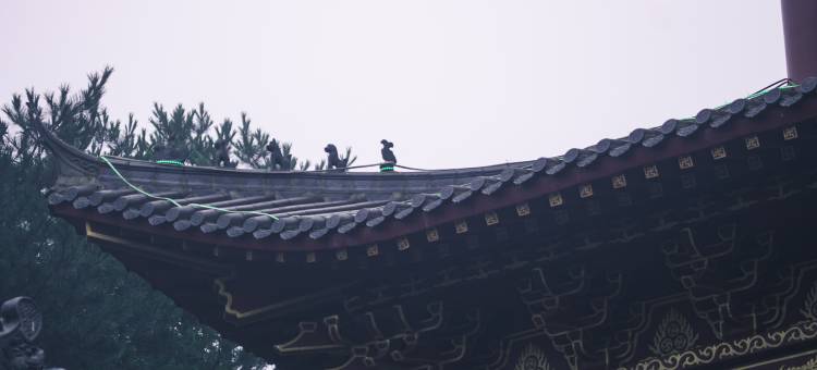 磐安亨达高二花园度假酒店图片