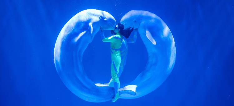 哈尔滨极地公园北极熊酒店(太阳岛地铁站店)图片