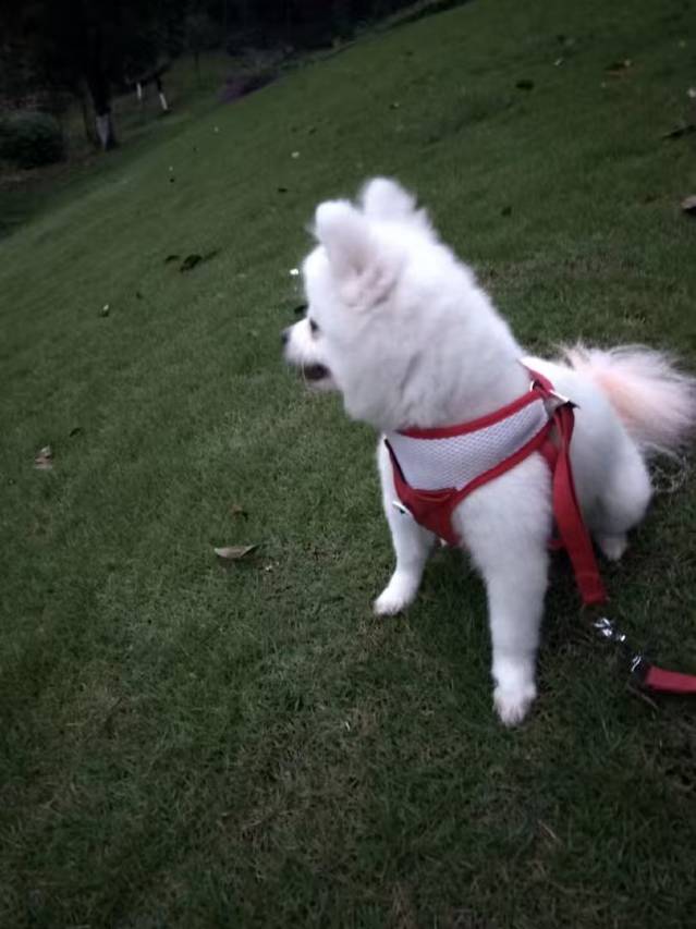 宜宾六月间·庭轩赏景·逸趣温馨美宿(李庄古镇景区店)图片