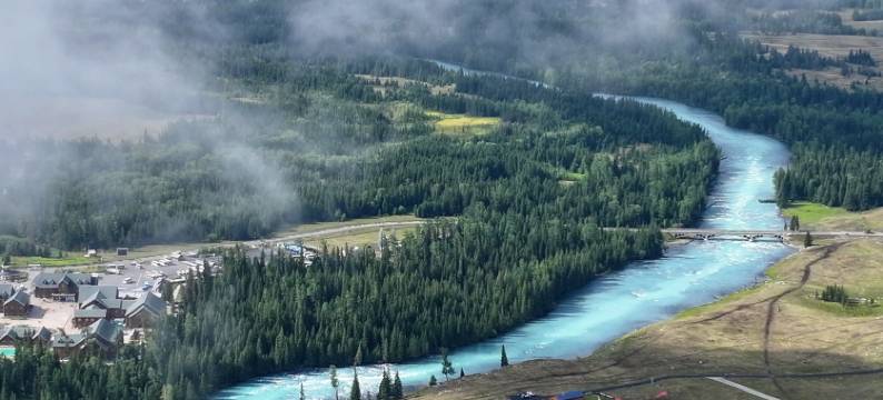 不如野·奢·林时有事Forest设计师度假民宿(喀纳斯景区店)图片