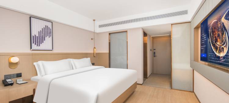 麗枫酒店(洛阳应天门洛邑古城店)图片