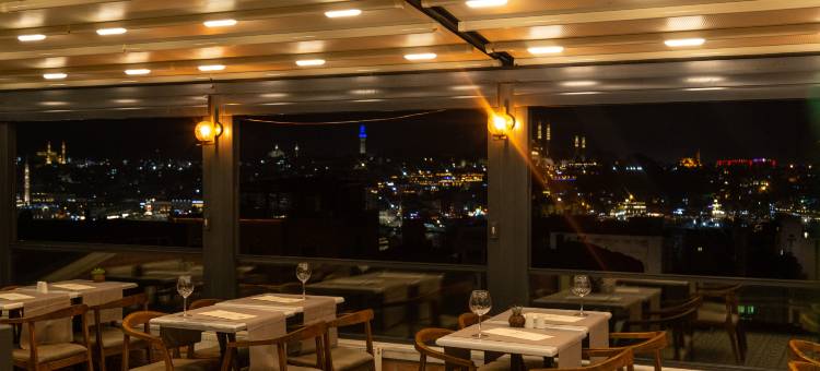 伊斯坦布尔梅罗迪拉波塔酒(Meroddi La Porta Hotel)图片