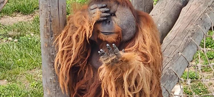 荣成高铁站丽呈漫湖酒店图片