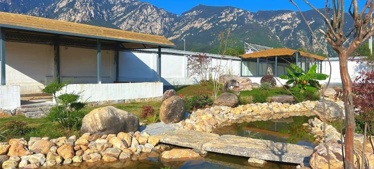 登封有鹿民宿(嵩山风景区店)图片