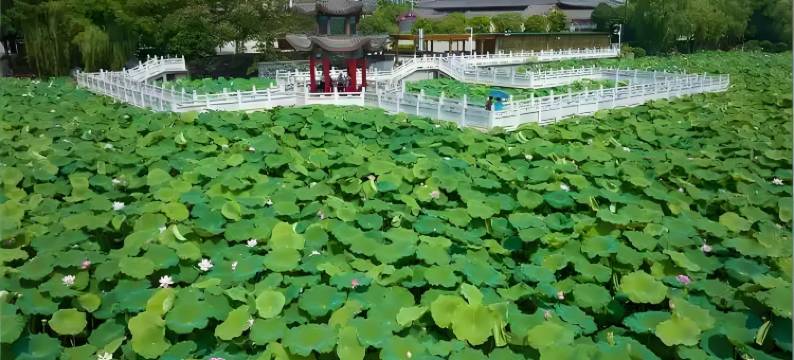 城市便捷酒店(武汉江夏客厅地铁站永旺梦乐城店)图片