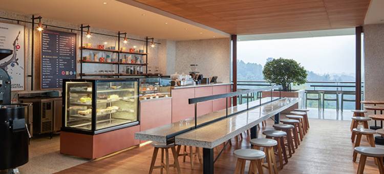 万隆盖亚酒店(The Gaia Hotel Bandung)图片