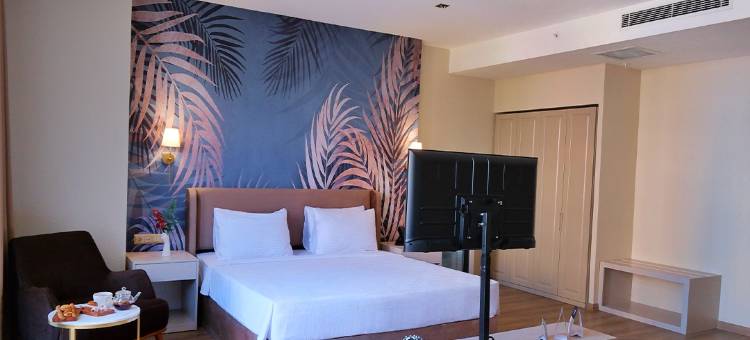 柏悦德德曼希什利(Park Dedeman Sisli)图片