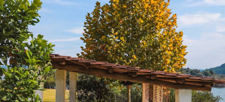 西坡千岛湖度假民宿图片