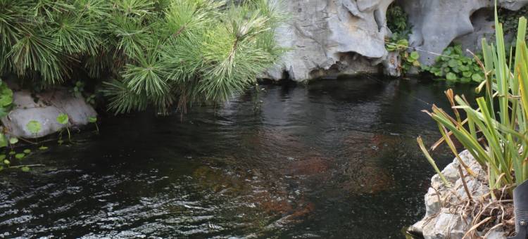 星野一宿花园别墅(常州访仙路分店)图片