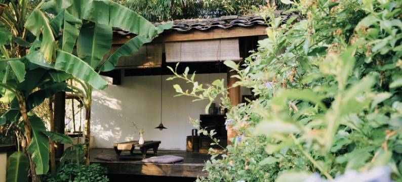 武夷山引溪别院图片