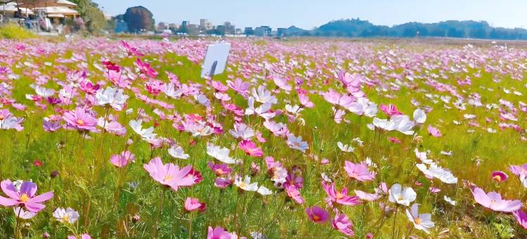 稻梦空间民宿(中山崖口店)图片