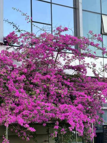 北海和安花园酒店(北海高铁站宁春城店)图片