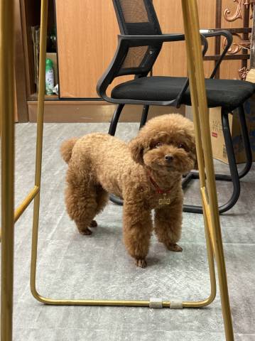 潮州人民广场Urba柏纳国际公寓(古城店)图片