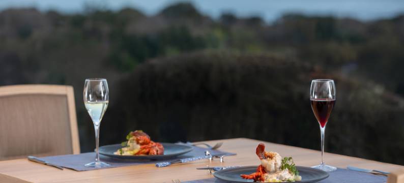 WAN WAN 精品宠物度假天堂 伊豆高原(Wan's Resort Jogasaki Kaigan)图片