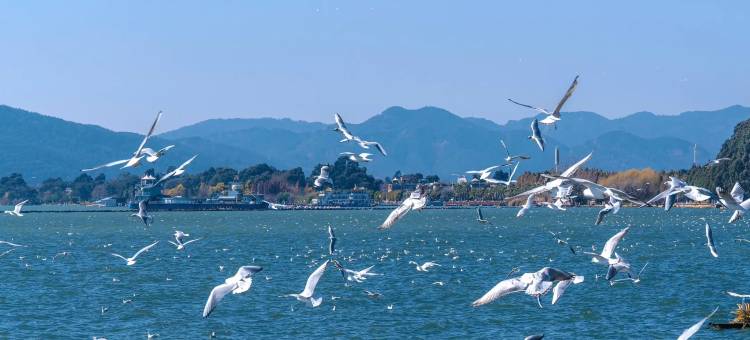 Lake·Villa云湖畔别院(昆明滇池海埂大坝店)图片