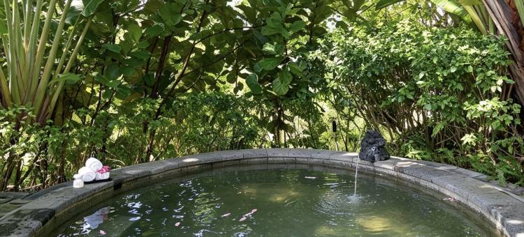 陵水希尔顿逸林温泉酒店图片