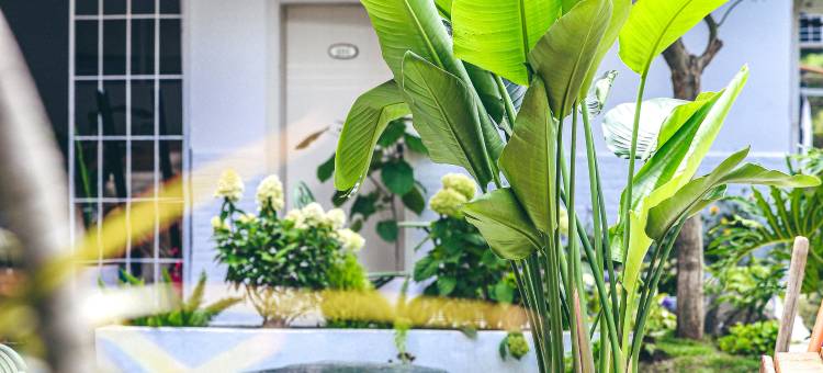 瑾庭花园·DreamLife闲度美宿(大理古城店)图片