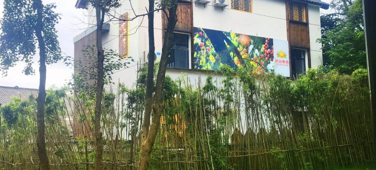 吉州窑柿子树下民宿图片