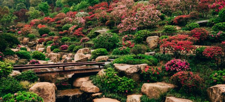 境见·茶野里野奢帐篷露营地图片