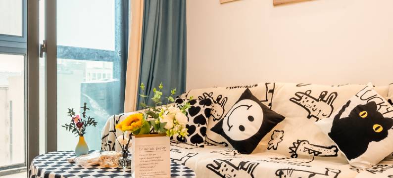 遇见设计师商旅公寓(苏州站店)图片